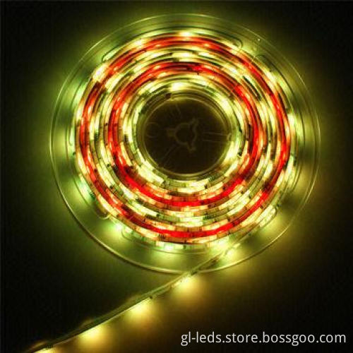 Waterproof LED Strip with Sized 5,000 x 10mm